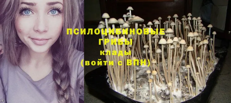 Псилоцибиновые грибы Magic Shrooms  Байкальск 